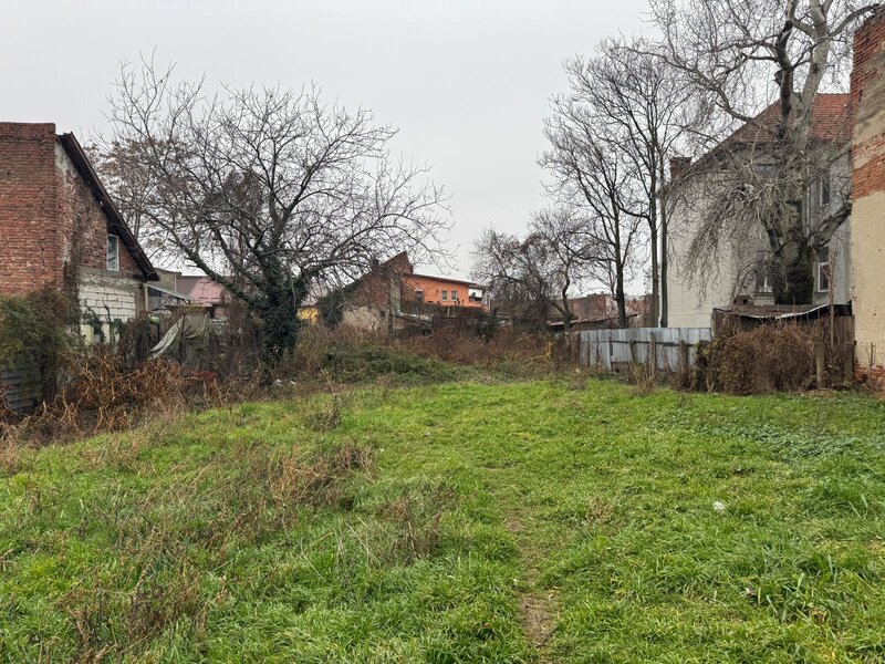 Timisoara,