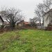 Timisoara,